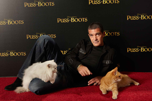 puss-in-boots-PIB-CP-004_rgb copy